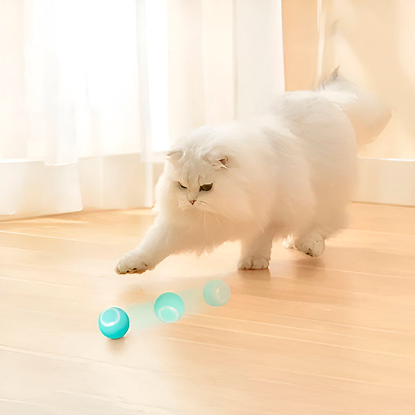Automatic Rolling Interactive Pet Ball for Fun Playtime