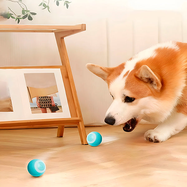 Automatic Rolling Interactive Pet Ball for Fun Playtime