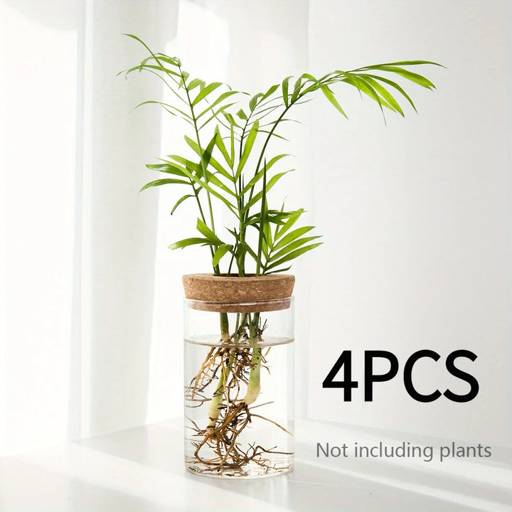 Hydroponic Glass Planter Vase for Home Decor and Plant Propagation