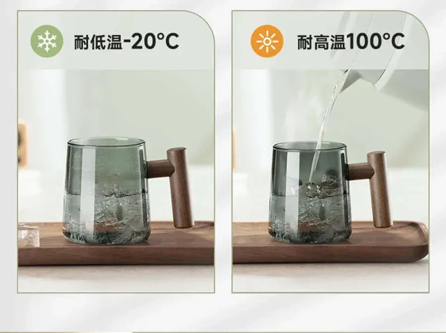 Ultramodern Glass Tea Cup with Filter and Lid for Perfect Brewing-Orizon Depot