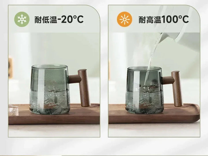 Ultramodern Glass Tea Cup with Filter and Lid for Perfect Brewing-Orizon Depot