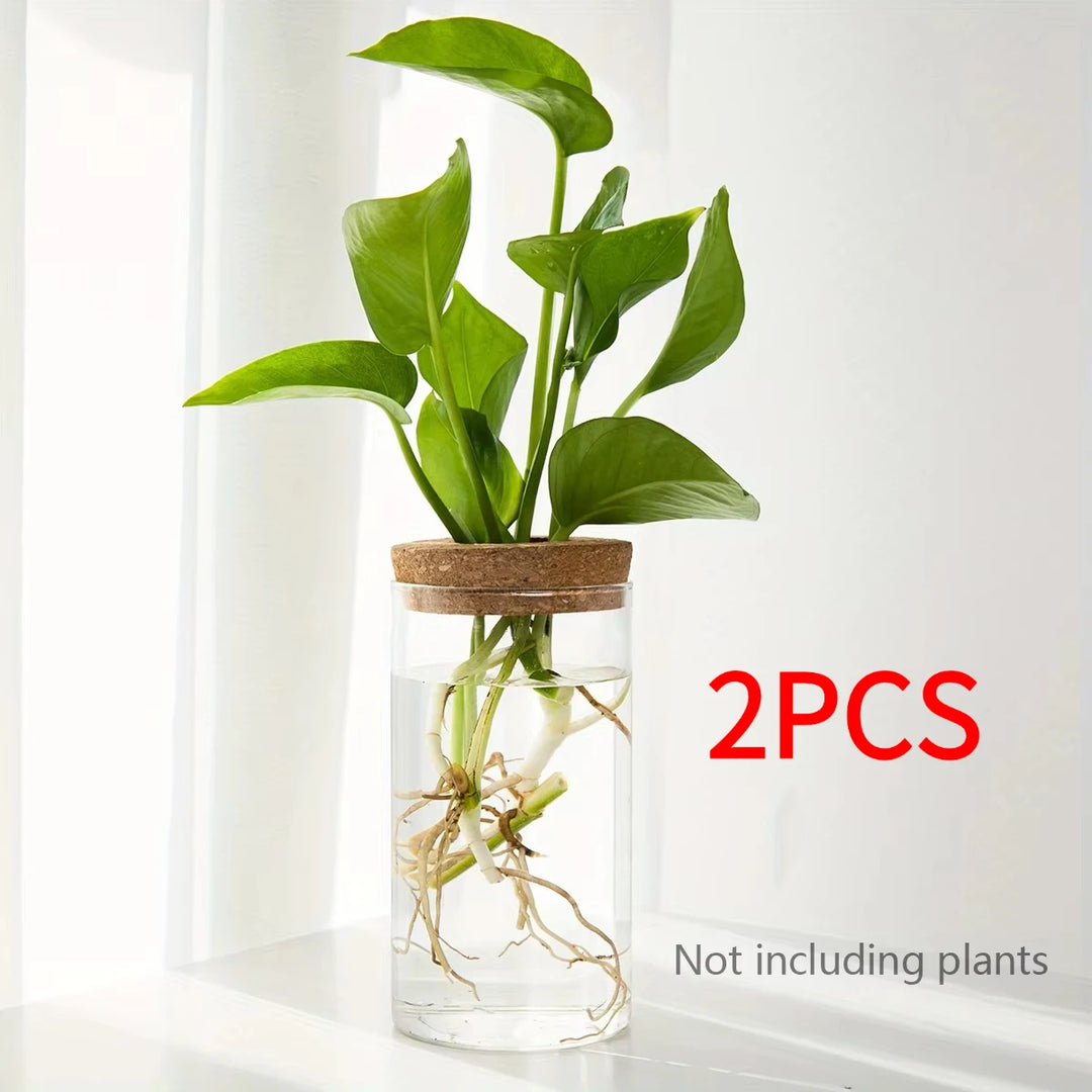Hydroponic Glass Planter Vase for Home Decor and Plant Propagation