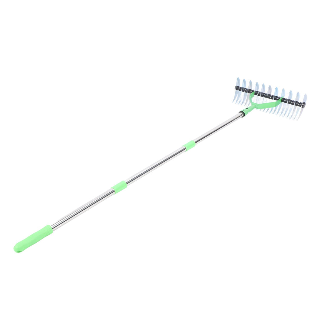 Long Reach Thatch Rake for Efficient Dethatching of Dead Grass