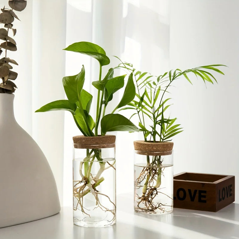 Hydroponic Glass Planter Vase for Home Decor and Plant Propagation