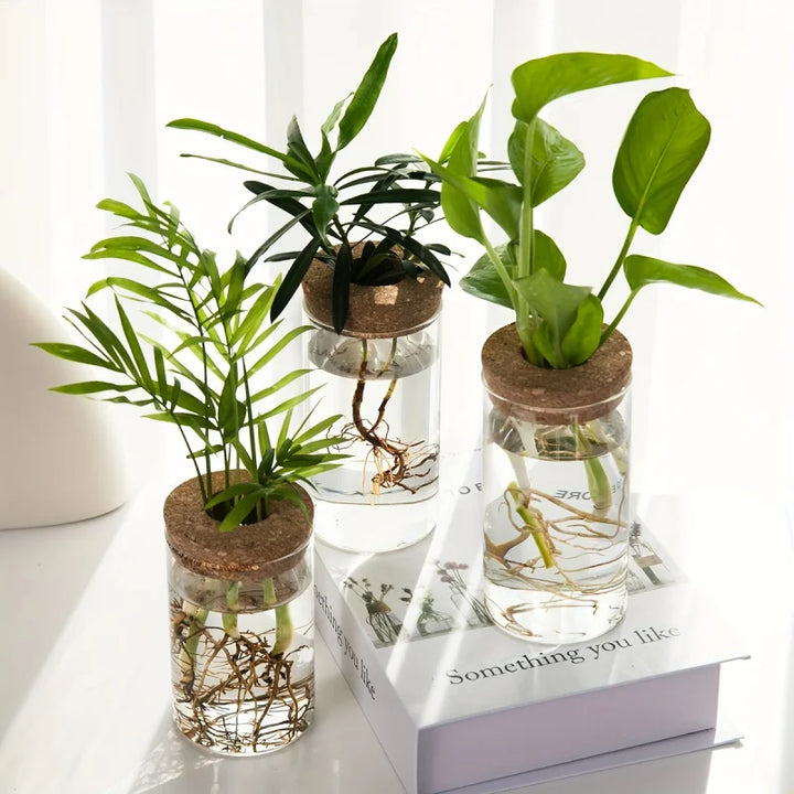 Hydroponic Glass Planter Vase for Home Decor and Plant Propagation