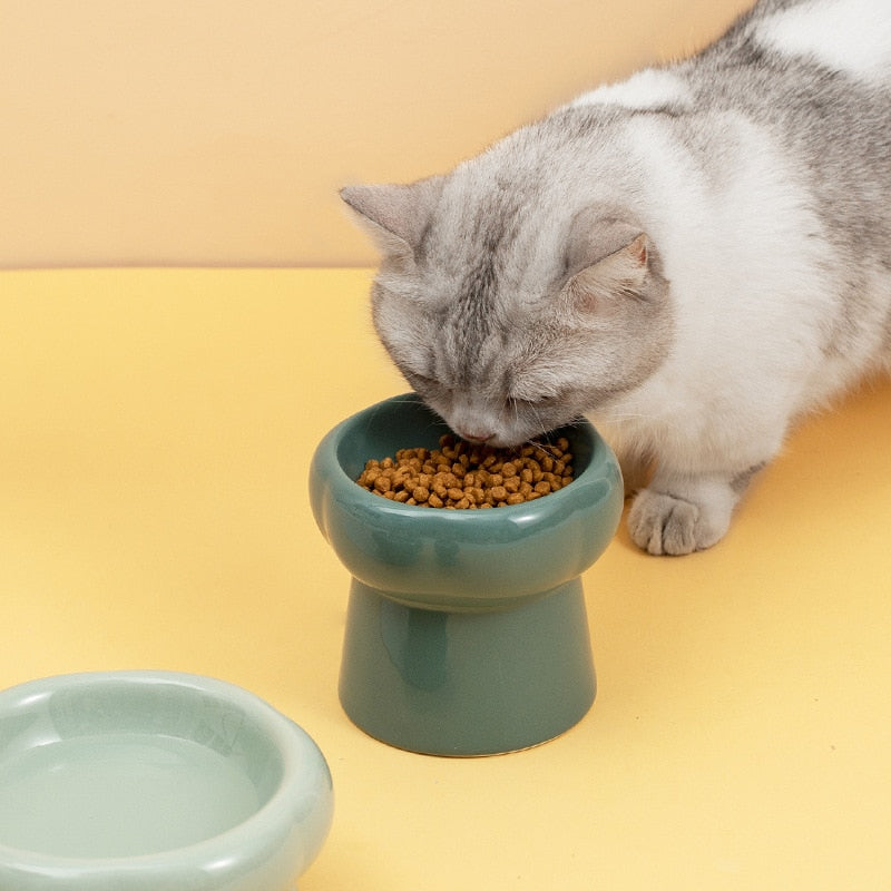 Elevated Ceramic Cat Bowls for Comfortable Dining-Orizon Depot