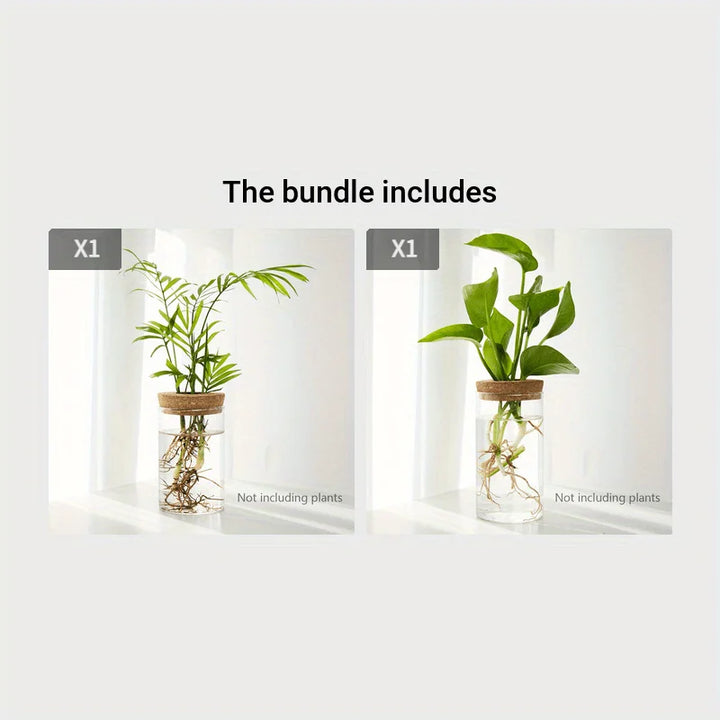 Hydroponic Glass Planter Vase for Home Decor and Plant Propagation