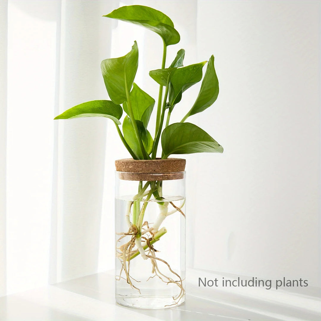 Hydroponic Glass Planter Vase for Home Decor and Plant Propagation