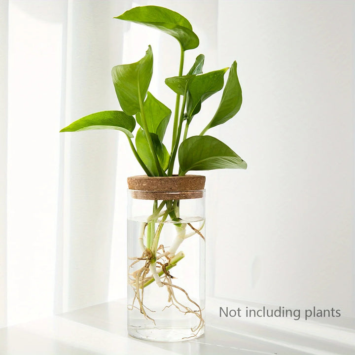 Hydroponic Glass Planter Vase for Home Decor and Plant Propagation