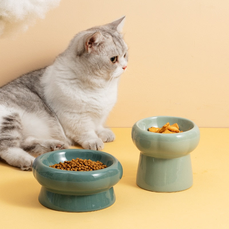 Elevated Ceramic Cat Bowls for Comfortable Dining-Orizon Depot