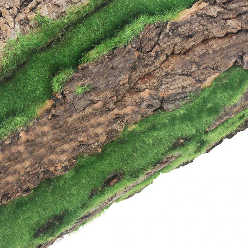 DIY Wall Decoration Green Plant Bark for Home Decor-Orizon Depot