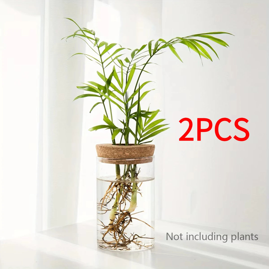 Hydroponic Glass Planter Vase for Home Decor and Plant Propagation