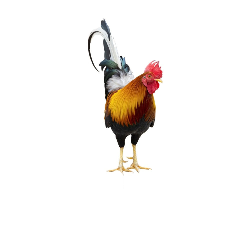 Feathered Beauty Garden Figure for Outdoor Decor-Orizon Depot