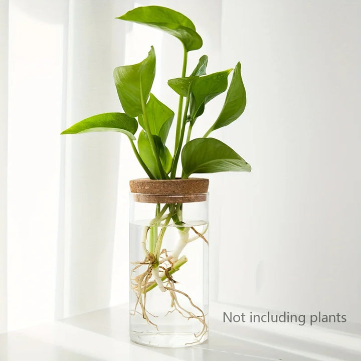 Hydroponic Glass Planter Vase for Home Decor and Plant Propagation