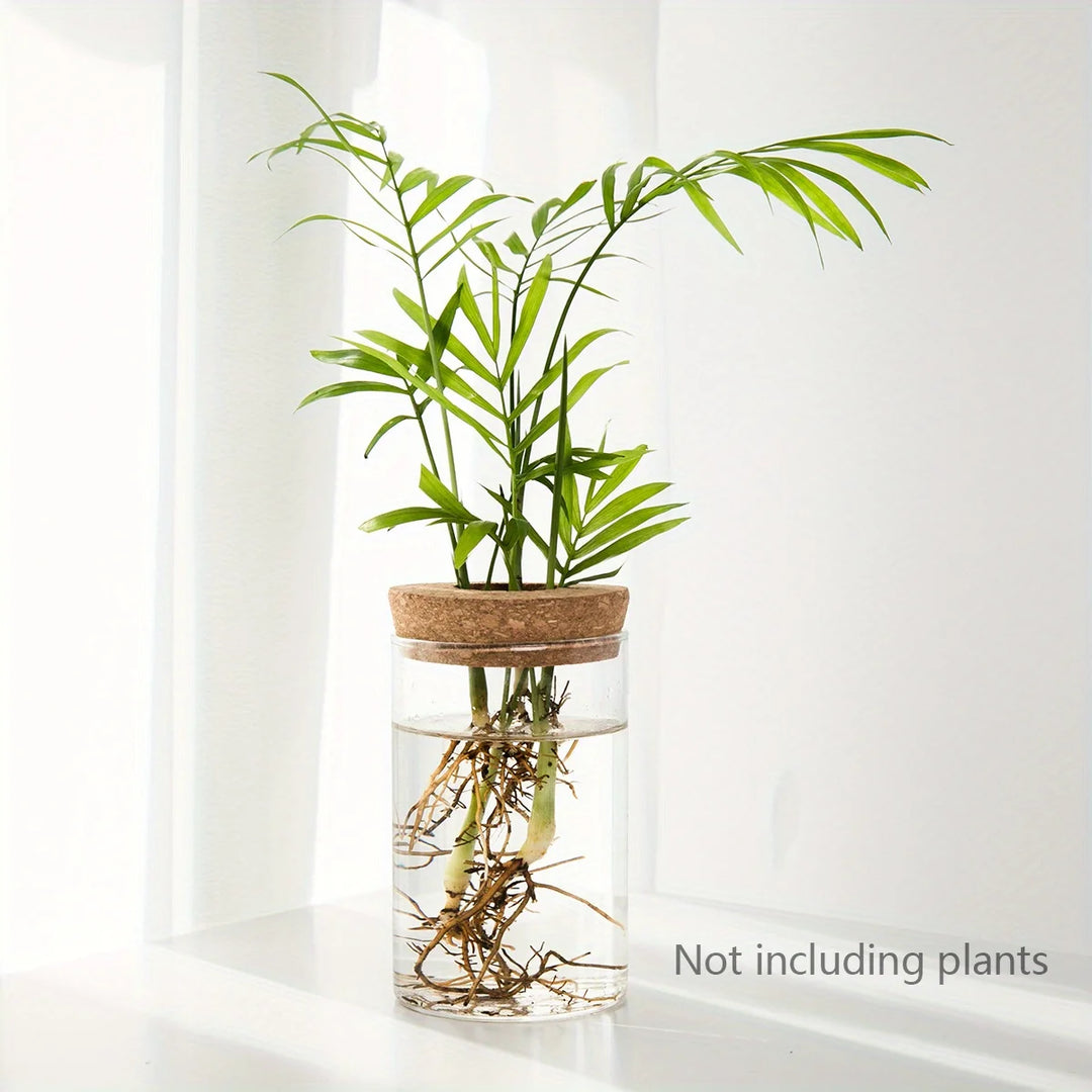 Hydroponic Glass Planter Vase for Home Decor and Plant Propagation
