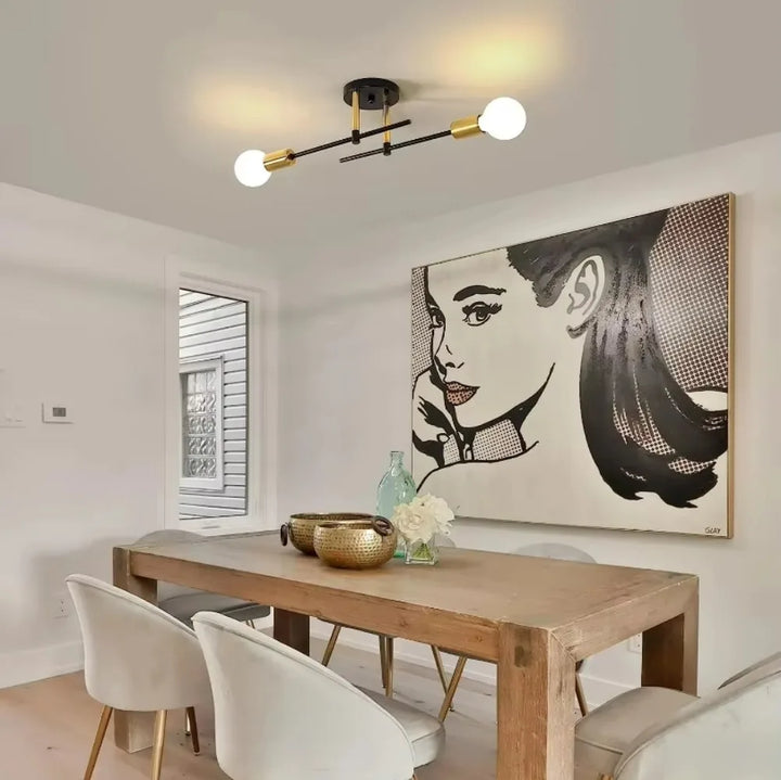 Contemporary 2-Light Ceiling Fixture | Black and Gold Flush Mount Light