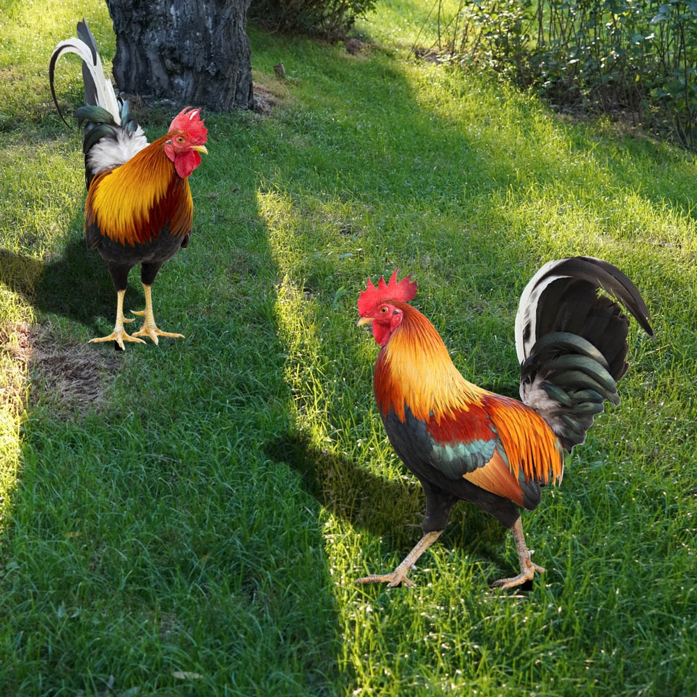 Feathered Beauty Garden Figure for Outdoor Decor-Orizon Depot