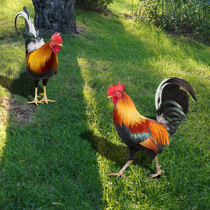 Feathered Beauty Garden Figure for Outdoor Decor-Orizon Depot