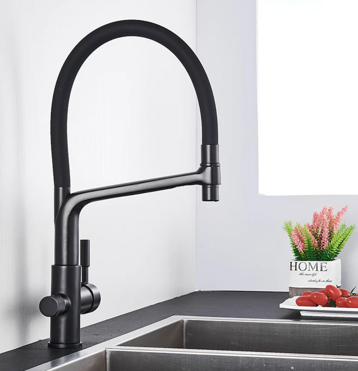 Double Outlet Drinking Water Faucet Filtered Kitchen Faucet-Orizon Depot