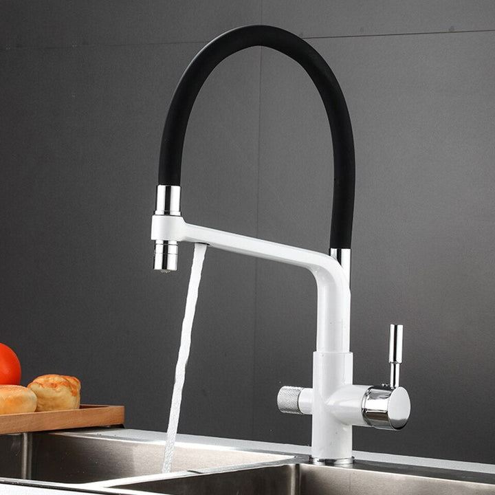 Double Outlet Drinking Water Faucet Filtered Kitchen Faucet-Orizon Depot