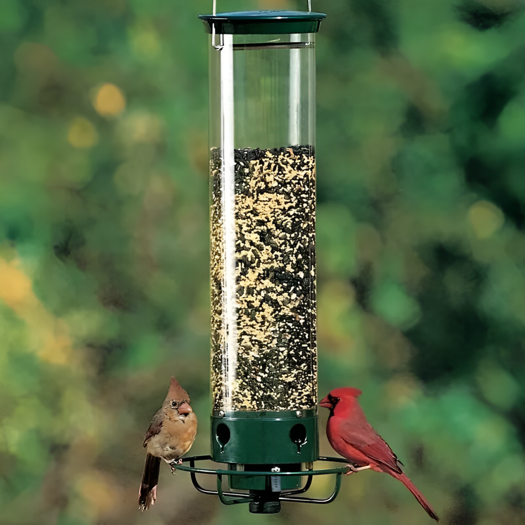 Squirrel-Resistant Bird Feeder for Backyard Wildlife-Orizon Depot