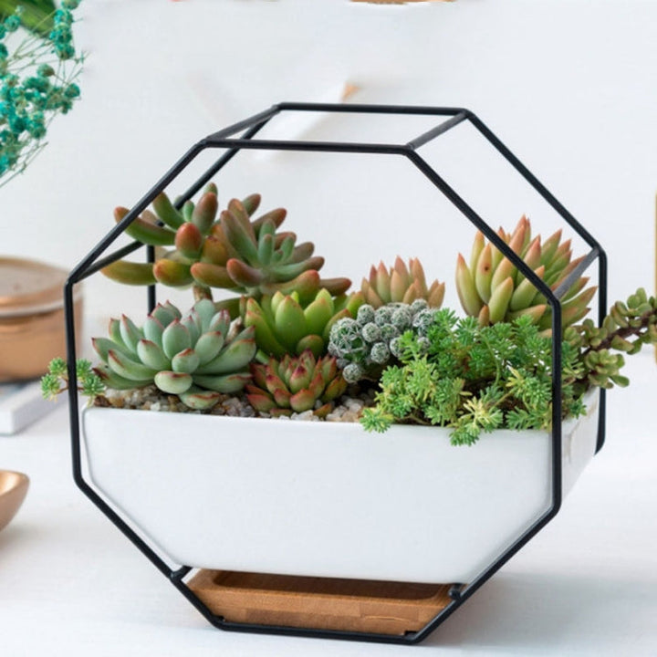 Octagonal Geometric Wall Hanging Table for Succulents - Black-Orizon Depot