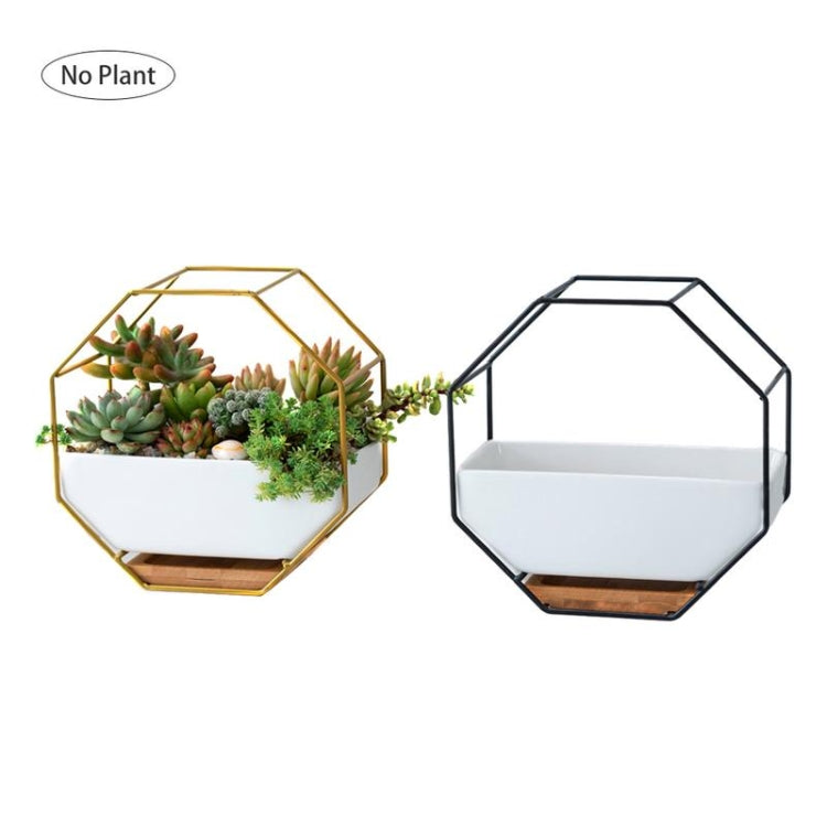 Octagonal Geometric Wall Hanging Table for Succulents - Black-Orizon Depot