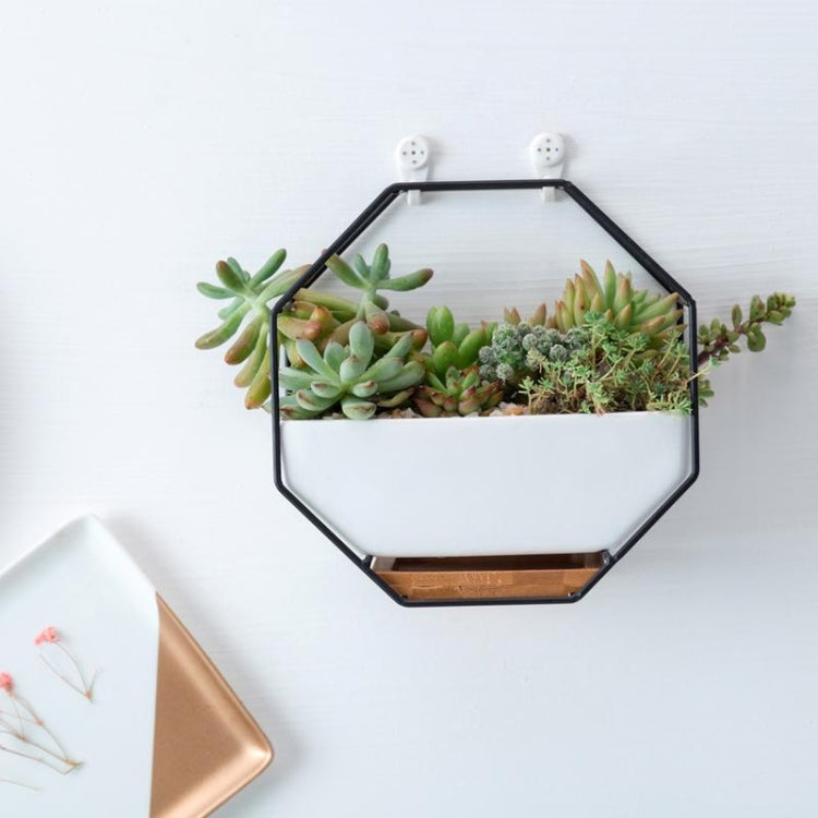 Octagonal Geometric Wall Hanging Table for Succulents - Black-Orizon Depot