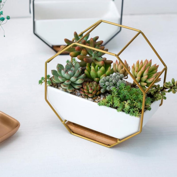 Octagonal Geometric Wall Hanging Table for Succulents - Black-Orizon Depot