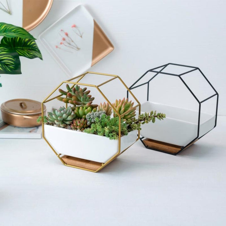 Octagonal Geometric Wall Hanging Table for Succulents - Black-Orizon Depot