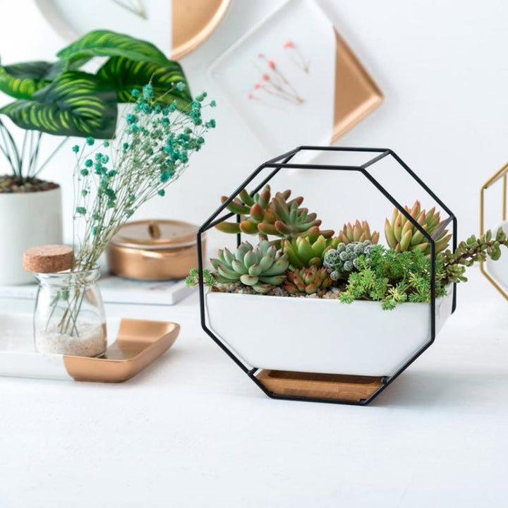 Octagonal Geometric Wall Hanging Table for Succulents - Black-Orizon Depot