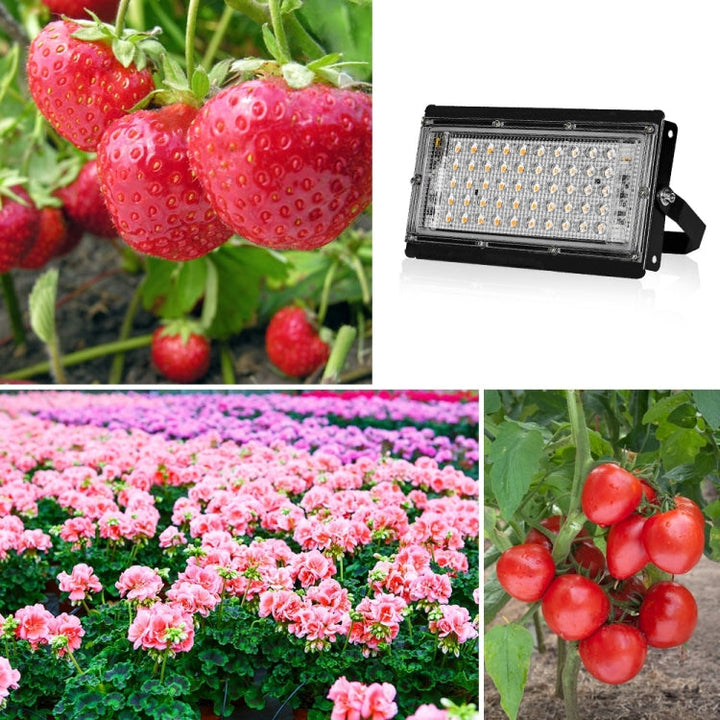LED Full Spectrum Waterproof Grow Light EU Plug 200W with 144 Beads-Orizon Depot