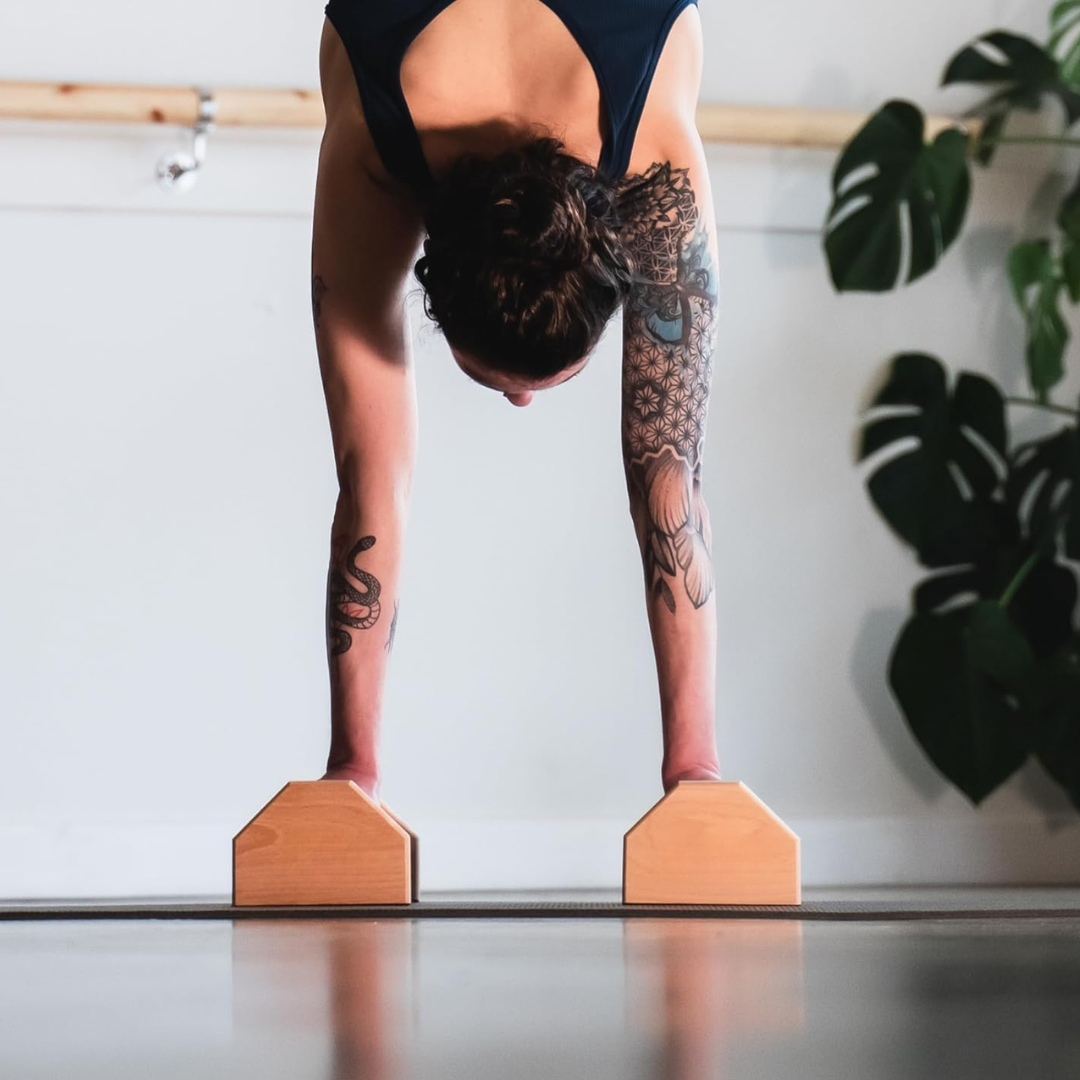 Sturdy Push-Up Stands for Calisthenics Training and Fitness-Orizon Depot