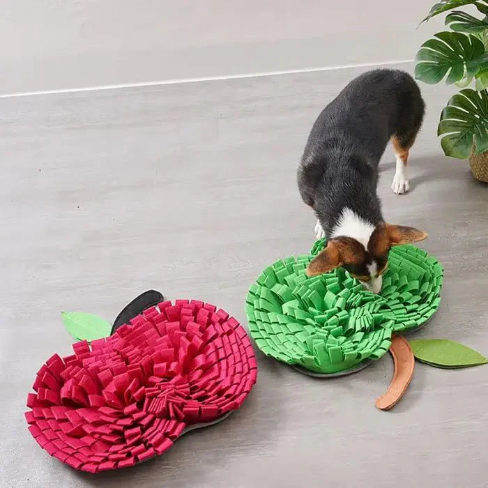 Dog Snuffle Mat for Interactive Feeding and Mental Stimulation-Orizon Depot