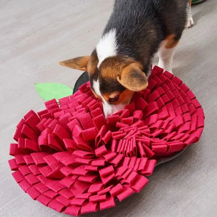 Dog Snuffle Mat for Interactive Feeding and Mental Stimulation-Orizon Depot