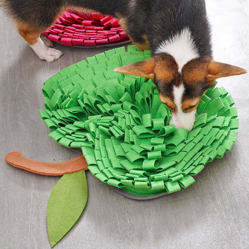 Dog Snuffle Mat for Interactive Feeding and Mental Stimulation-Orizon Depot