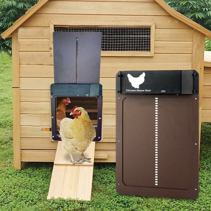 Automatic Chicken Door for Poultry - Easy and Convenient Access-Orizon Depot
