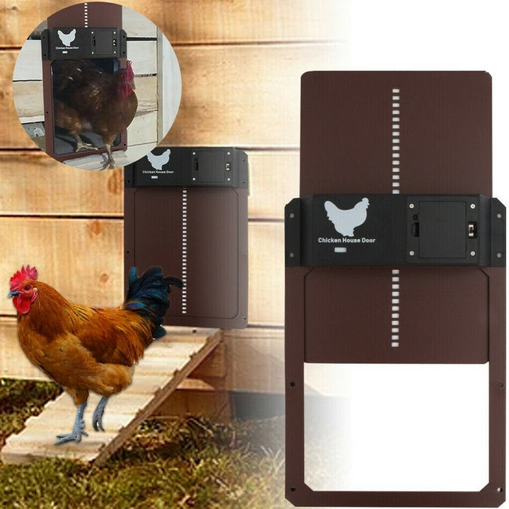 Automatic Chicken Door for Poultry - Easy and Convenient Access-Orizon Depot