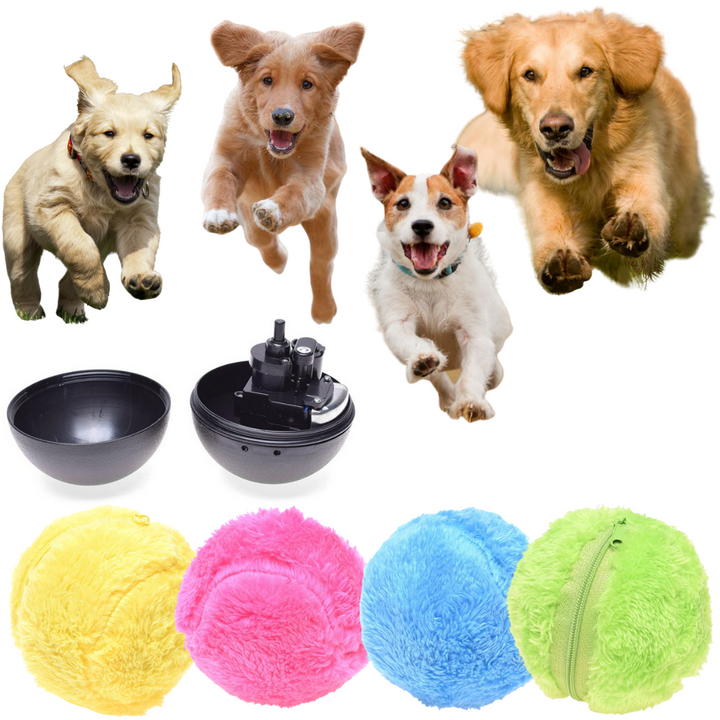 Active Rolling Ball Set - 4 Color Options Available