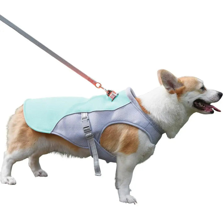 Dog Cooling Vest for Summer Outdoor Adventures