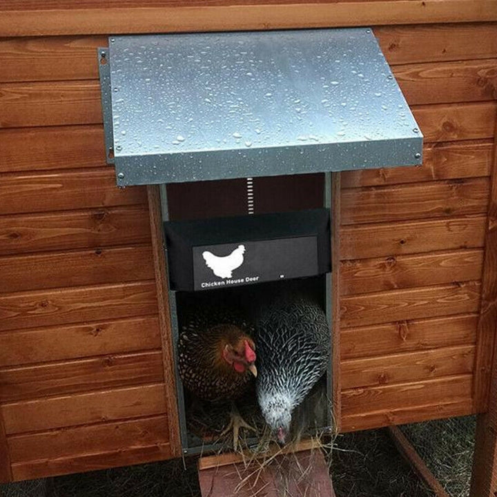 Automatic Chicken Door for Poultry - Easy and Convenient Access-Orizon Depot