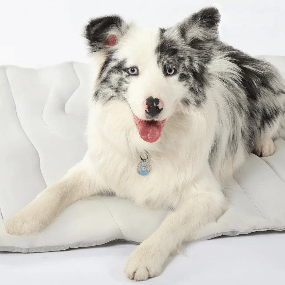 Self-Cooling Dog Mat – CoolPaws Cooling Mat for Summer Relief-Orizon Depot