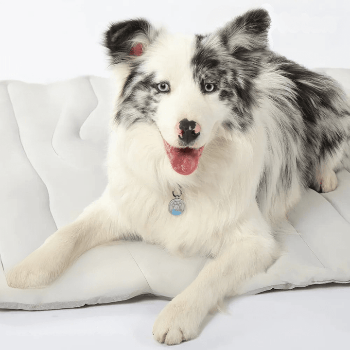 Self-Cooling Dog Mat – CoolPaws Cooling Mat for Summer Relief-Orizon Depot