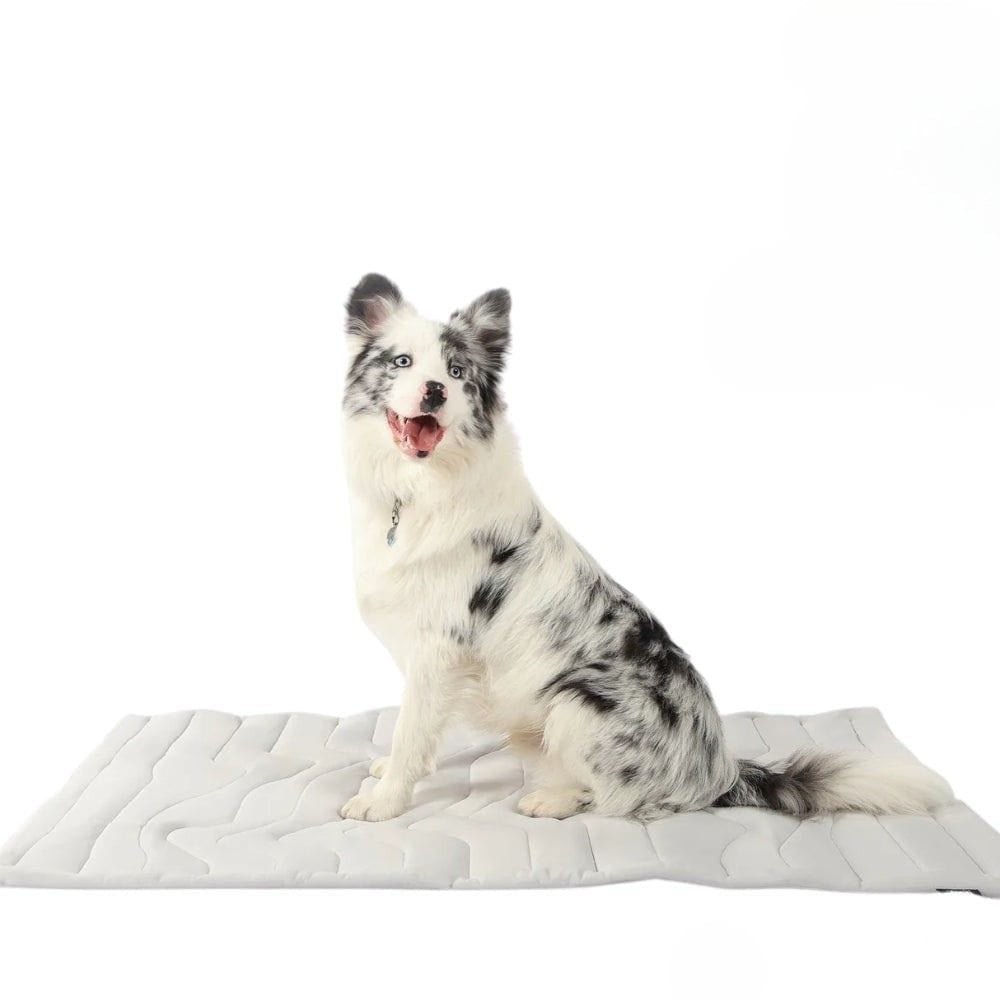 Self-Cooling Dog Mat – CoolPaws Cooling Mat for Summer Relief-Orizon Depot