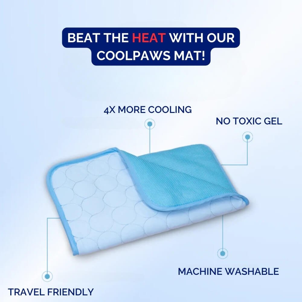 Dog Cooling Mat for Pets - Keep Your Dog Comfortable and Cool-Orizon Depot