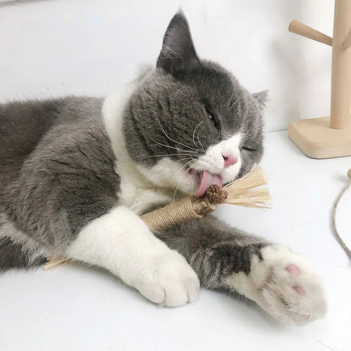 Natural Silvervine Cat Chew Toy SEO Title: Natural Silvervine Chew Toy for Cats - Engaging and Safe Play