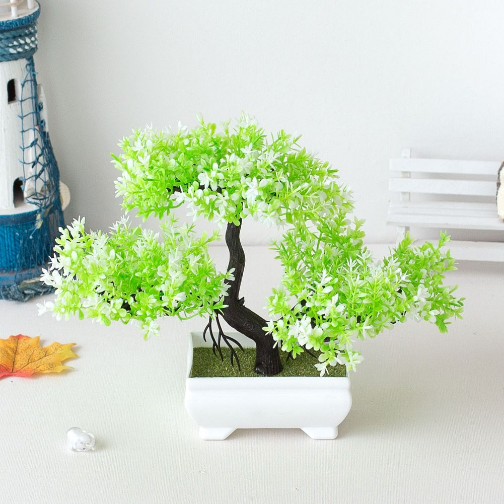 SEO Title: Plant Bonsai for Home Decor and Indoor Gardening-Orizon Depot