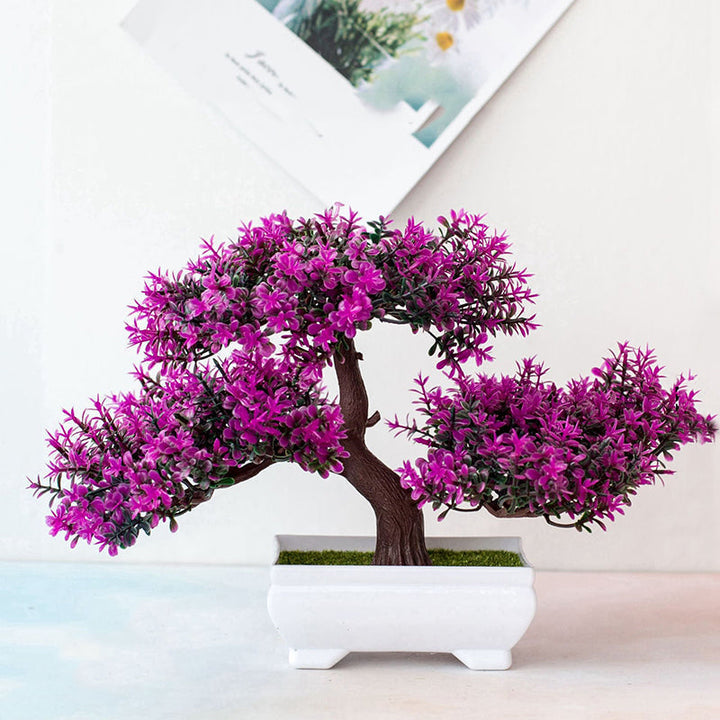 SEO Title: Plant Bonsai for Home Decor and Indoor Gardening-Orizon Depot