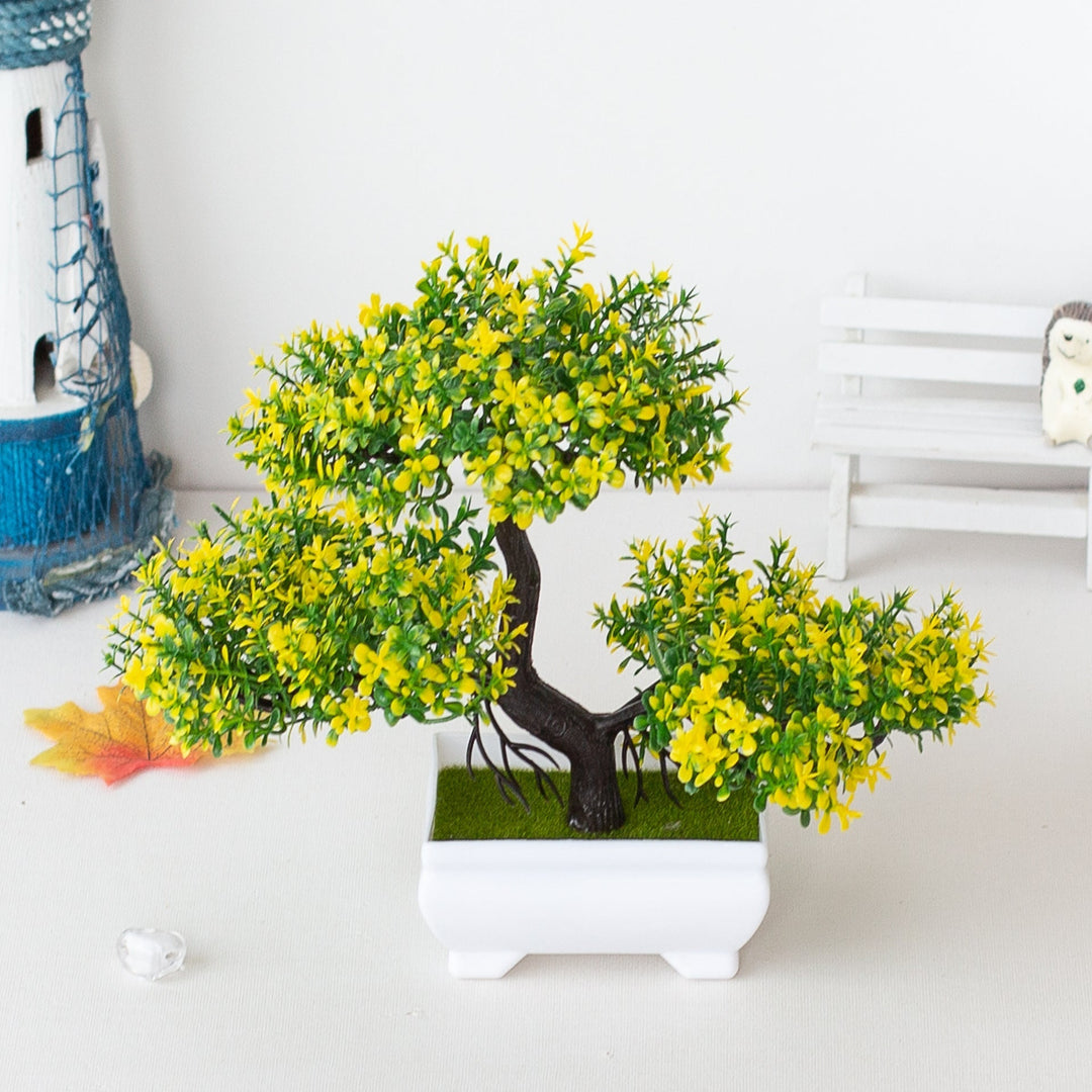 SEO Title: Plant Bonsai for Home Decor and Indoor Gardening-Orizon Depot