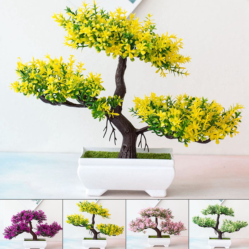 SEO Title: Plant Bonsai for Home Decor and Indoor Gardening-Orizon Depot